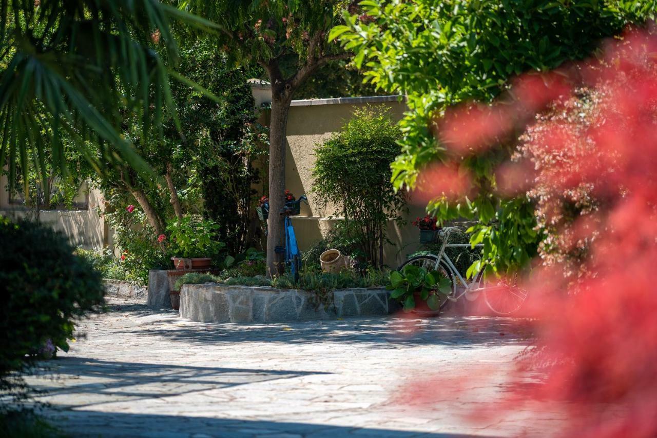 Villa Mery Casale Monferrato Ngoại thất bức ảnh