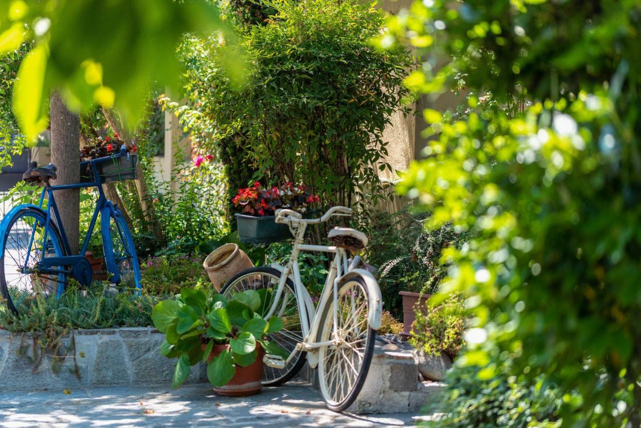Villa Mery Casale Monferrato Ngoại thất bức ảnh