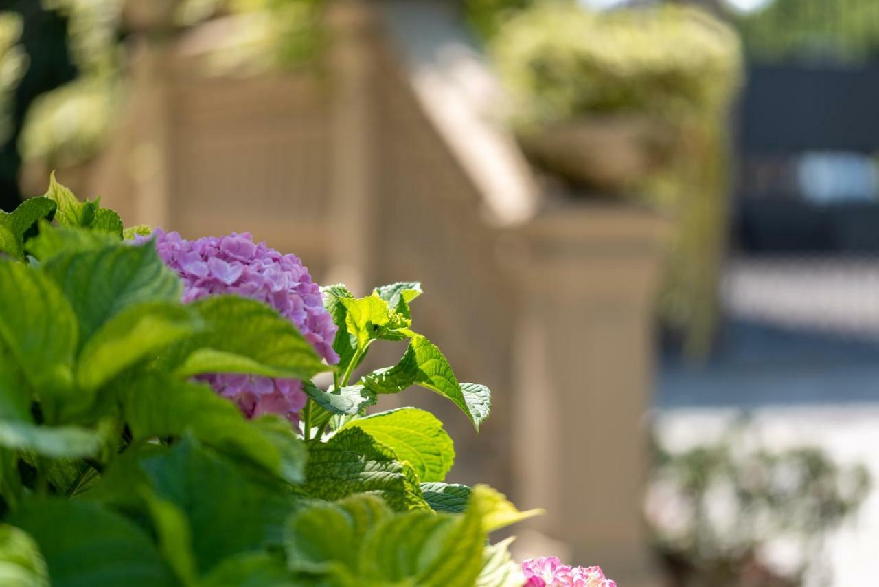 Villa Mery Casale Monferrato Ngoại thất bức ảnh